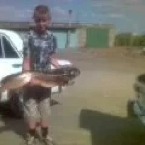 щука на 7.500