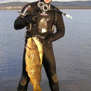 Не большой сазанчик