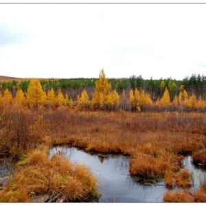 Забайкальская осень