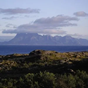 IMGP1228