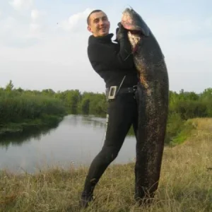 сомик