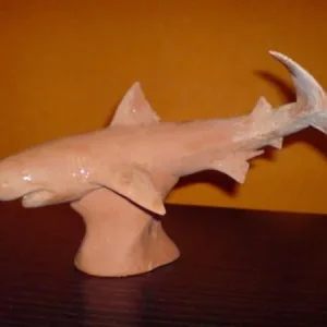 Carcharodon carcharias. Сделано для Хулиганки...