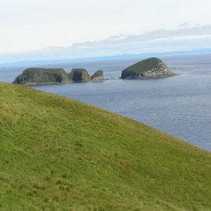 P8220300