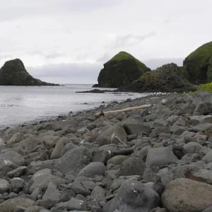 P8190224