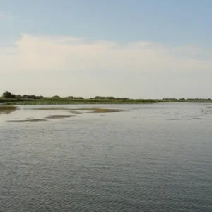DSC03321
