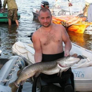 Опять рыппка