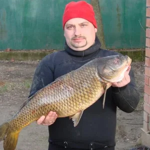 Рыпка 1