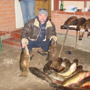 Рыпка много