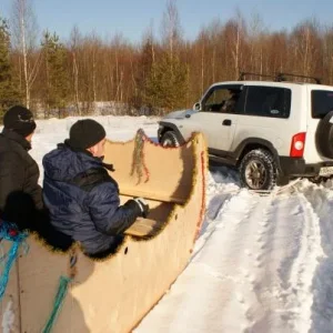 Сани