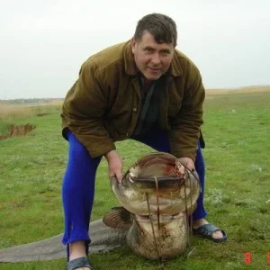 Их почти не осталось!