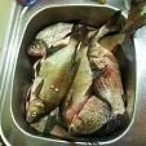 user13280 pic30402 1396201262 thumb