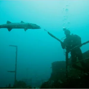 cuda spear