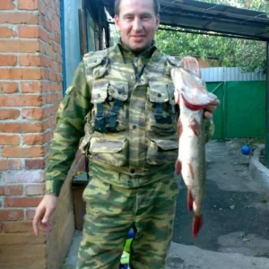Трофей года 1