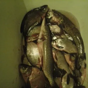 20140404 202533