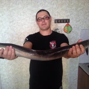 Угорь 2, 300