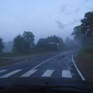 Сайлент Алеховщина
