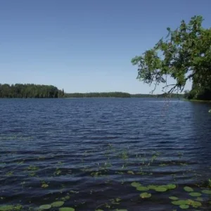 Светлая вода