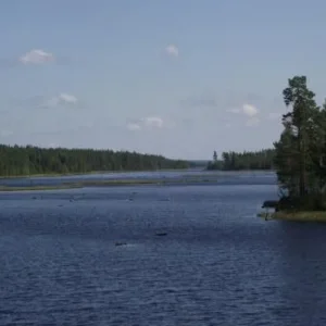 Река без берегов