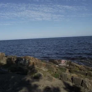 Берег белого моря