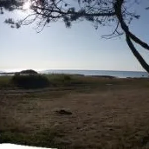 Утро на белом море