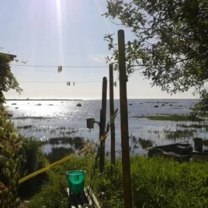 Поморы живут