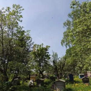DSCN7432