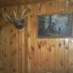 443353213349