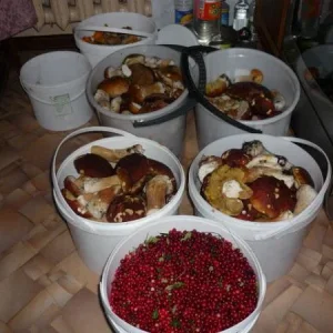 image (1)