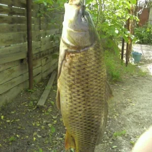 Photo 0016