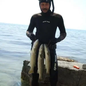 Геленджик 2007 275.1 net