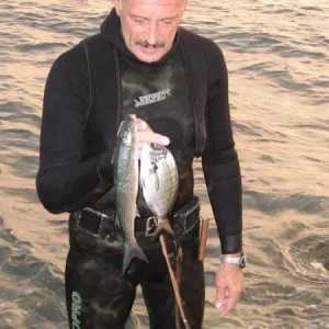 IMG 5950.net