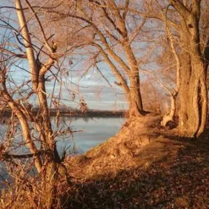 rps20141121 145213 281