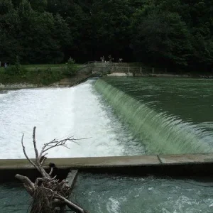 DSCF6426