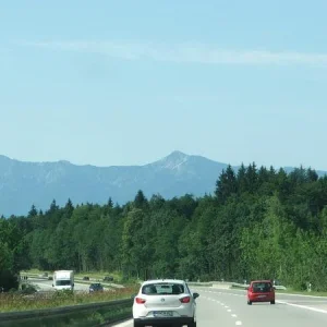 DSCF6617