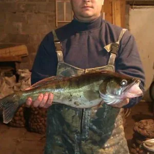 2013г октябрь