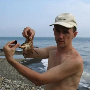 крабик