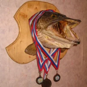 вешалка
