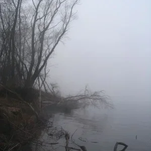 в ноябре на волге2