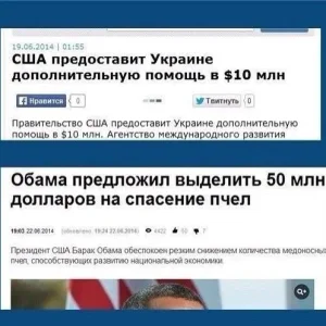 Пчелы