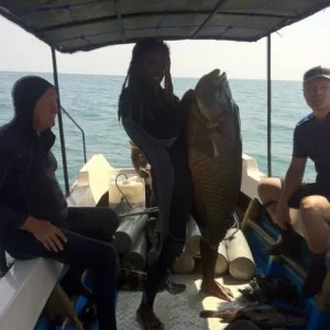 IMG 20150119 WA0003