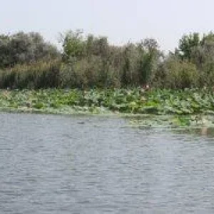 image (2)