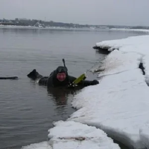 Волга 2015