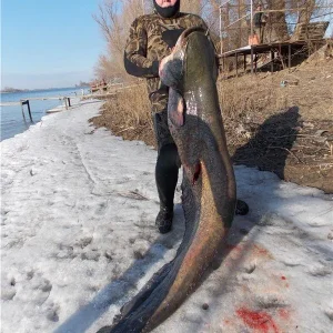 Нижняя Волга, за полтишок где то