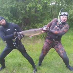 Заполярье
Если Друг оказался вдруг...