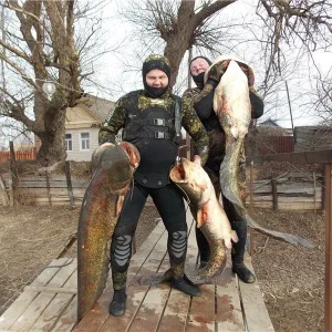 Нижняя Волга