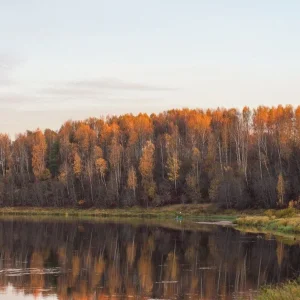 Волга