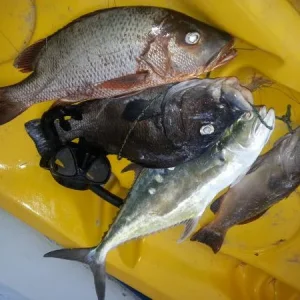 20150408 173314