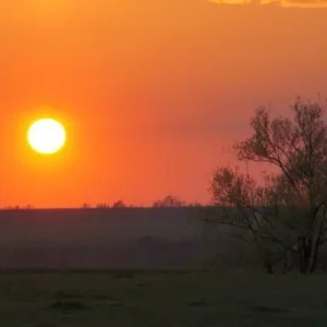 DSC06055