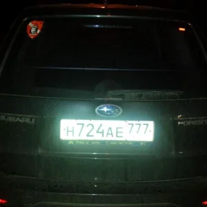 гончаровская