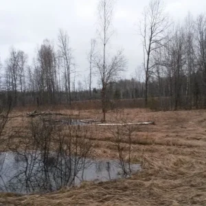 вал 15